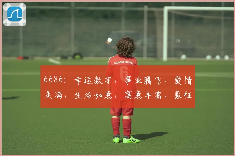 6686：幸运数字，事业腾飞，爱情美满，生活如意，寓意丰富，象征无限可能