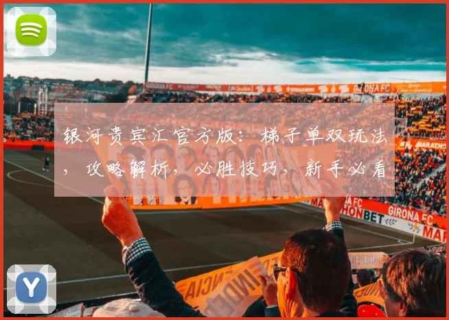 银河贵宾汇官方版：梯子单双玩法，攻略解析，必胜技巧，新手必看，三步入门